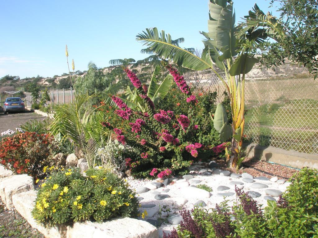 Paradise Traditional House Maroni Bagian luar foto