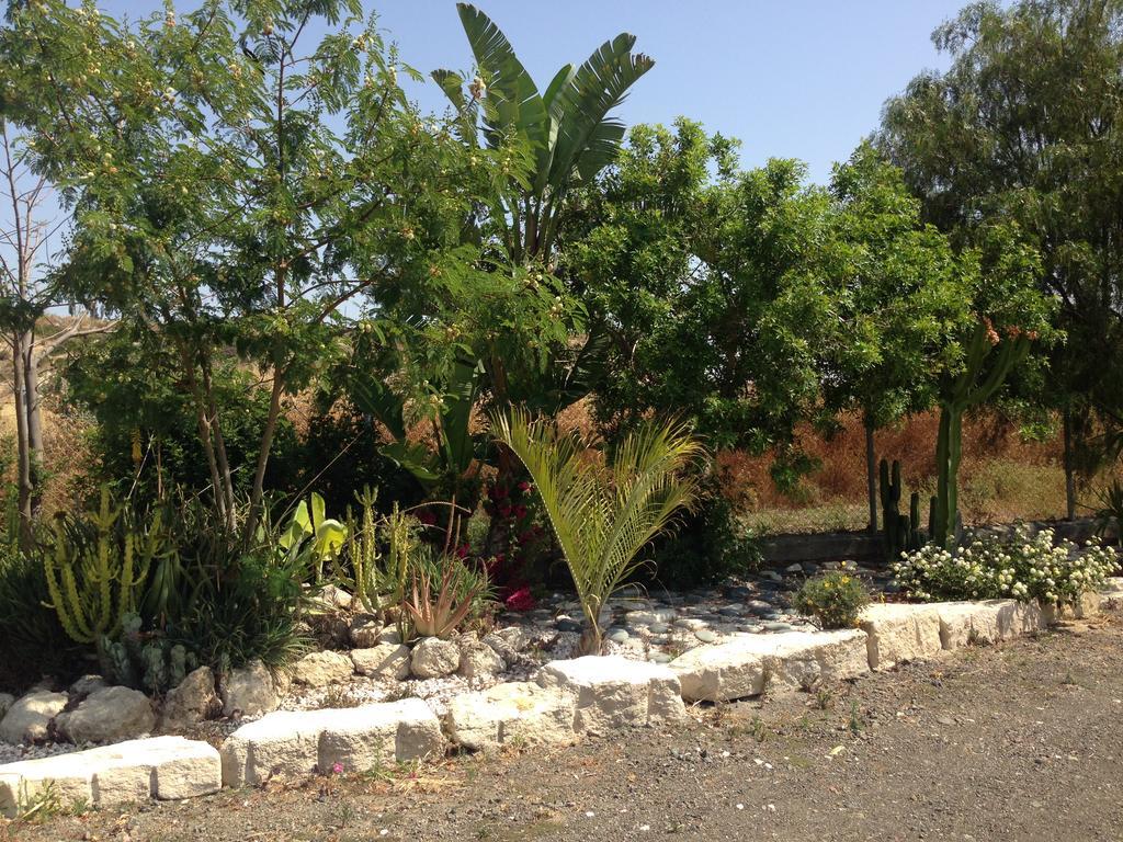 Paradise Traditional House Maroni Bagian luar foto